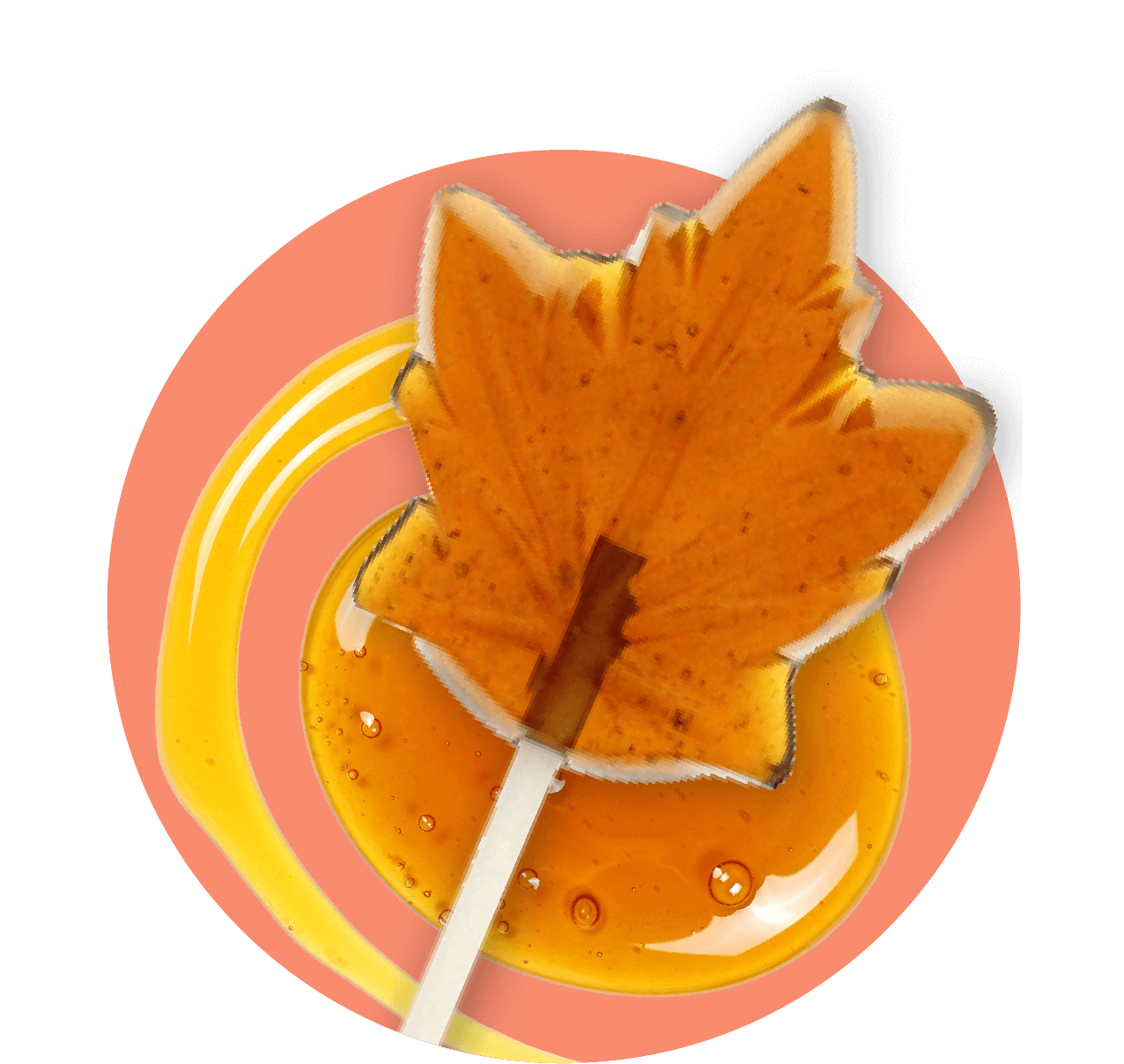 Maple Lollipop